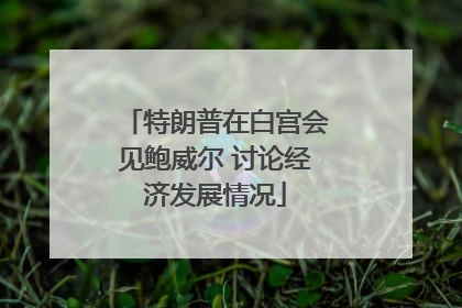特朗普在白宫会见鲍威尔 讨论经济发展情况
