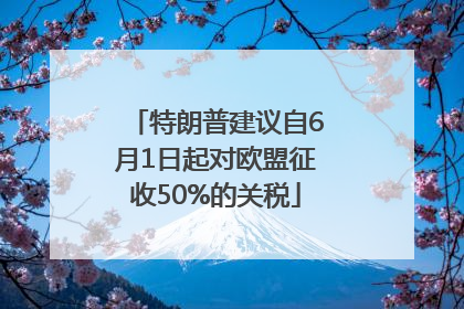 特朗普建议自6月1日起对欧盟征收50%的关税