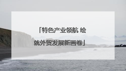 特色产业领航 绘就外贸发展新画卷