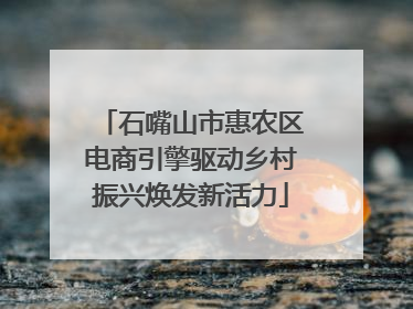 石嘴山市惠农区电商引擎驱动乡村振兴焕发新活力