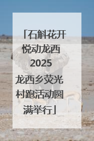 石斛花开 悦动龙西 2025龙西乡荧光村跑活动圆满举行