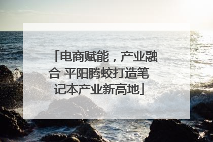 电商赋能，产业融合 平阳腾蛟打造笔记本产业新高地