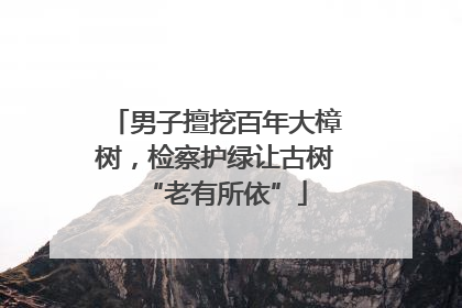 男子擅挖百年大樟树，检察护绿让古树“老有所依”