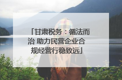甘肃税务：循法而治 助力民营企业合规经营行稳致远
