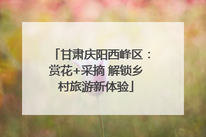甘肃庆阳西峰区：赏花+采摘 解锁乡村旅游新体验