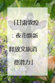 甘肃敦煌：夜市焕新释放文旅消费潜力