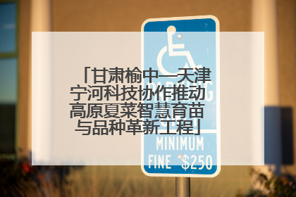 甘肃榆中—天津宁河科技协作推动高原夏菜智慧育苗与品种革新工程