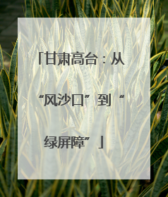 甘肃高台：从“风沙口”到“绿屏障”