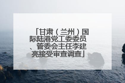 甘肃（兰州）国际陆港党工委委员、管委会主任李建亮接受审查调查