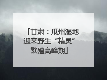 甘肃：瓜州湿地迎来野生“精灵”繁殖高峰期