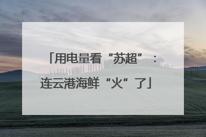 用电量看“苏超”：连云港海鲜“火”了