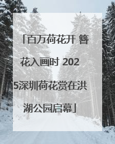 百万荷花开 簪花入画时 2025深圳荷花赏在洪湖公园启幕