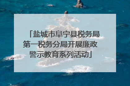 盐城市阜宁县税务局第一税务分局开展廉政警示教育系列活动