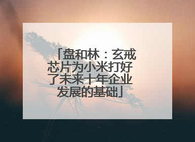 盘和林：玄戒芯片为小米打好了未来十年企业发展的基础