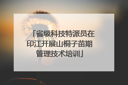 省级科技特派员在印江开展山桐子苗期管理技术培训