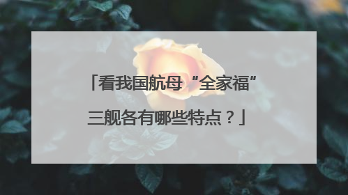 看我国航母“全家福” 三舰各有哪些特点？