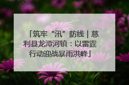 筑牢“汛”防线｜慈利县龙潭河镇：以雷霆行动迎战暴雨洪峰