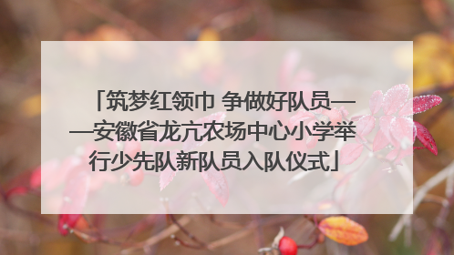 筑梦红领巾 争做好队员——安徽省龙亢农场中心小学举行少先队新队员入队仪式