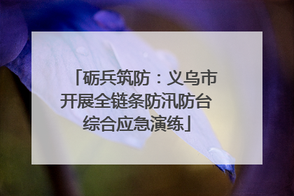 砺兵筑防：义乌市开展全链条防汛防台综合应急演练