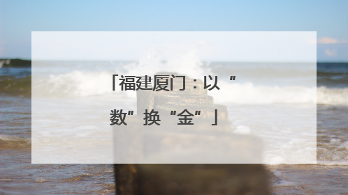 福建厦门：以“数”换“金”