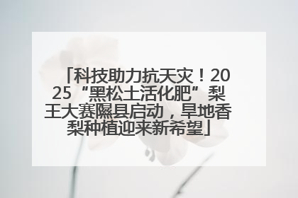 科技助力抗天灾！2025“黑松土活化肥”梨王大赛隰县启动，旱地香梨种植迎来新希望
