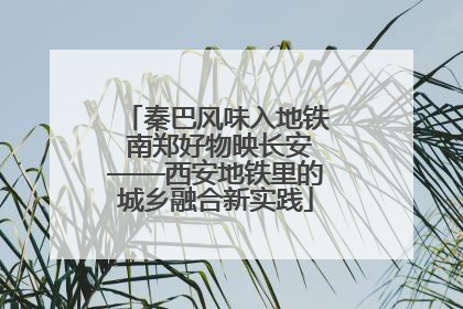 秦巴风味入地铁 南郑好物映长安——西安地铁里的城乡融合新实践