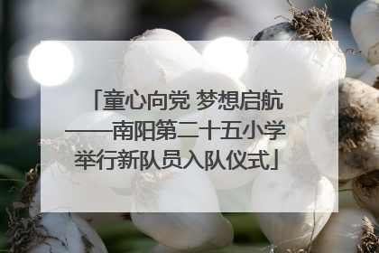 童心向党 梦想启航——南阳第二十五小学举行新队员入队仪式