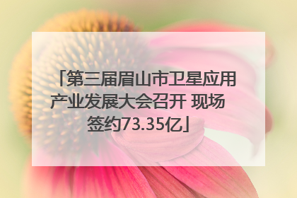 第三届眉山市卫星应用产业发展大会召开 现场签约73.35亿