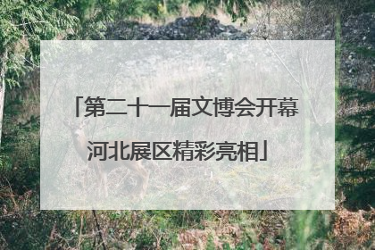 第二十一届文博会开幕 河北展区精彩亮相