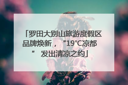 罗田大别山旅游度假区品牌焕新，“19℃凉都” 发出清凉之约