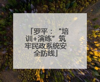 罗平：“培训+演练”筑牢民政系统安全防线