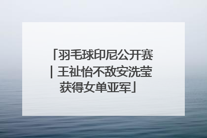 羽毛球印尼公开赛｜王祉怡不敌安洗莹 获得女单亚军
