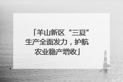 羊山新区“三夏”生产全面发力，护航农业稳产增收