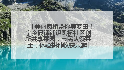 美丽凤桥带你寻梦田！宁乡夏铎铺镇凤桥社区创新共享菜园，市民认领菜土，体验耕种收获乐趣