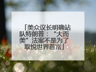 美众议长明确站队特朗普：“大而美”法案不是为了取悦世界首富