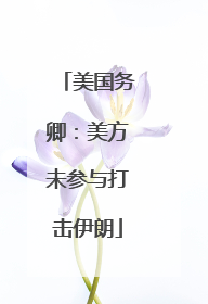 美国务卿：美方未参与打击伊朗