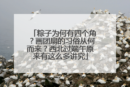 粽子为何有四个角?画团扇的习俗从何而来?西北过端午原来有这么多讲究