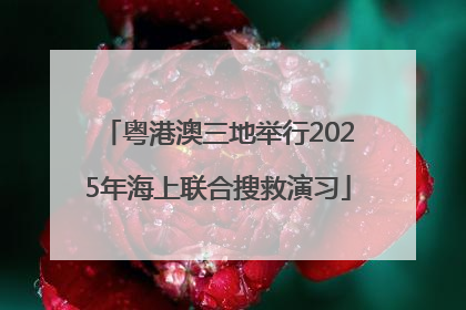 粤港澳三地举行2025年海上联合搜救演习