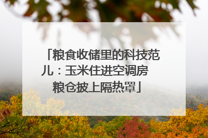 粮食收储里的科技范儿：玉米住进空调房 粮仓披上隔热罩