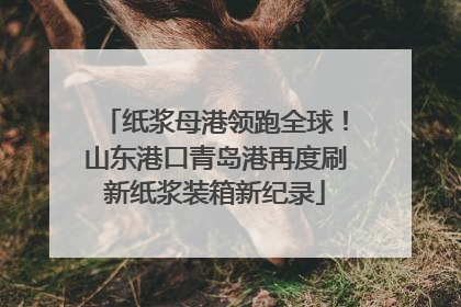 纸浆母港领跑全球！山东港口青岛港再度刷新纸浆装箱新纪录