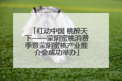 红动中国 桃醉天下——蒙阴蜜桃消费季暨蒙阴蜜桃产业推介会成功举办