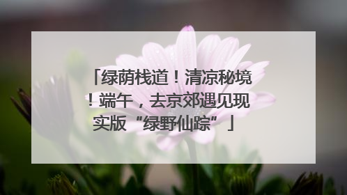 绿荫栈道！清凉秘境！端午，去京郊遇见现实版“绿野仙踪”