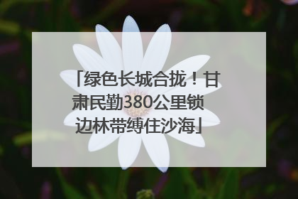 绿色长城合拢！甘肃民勤380公里锁边林带缚住沙海