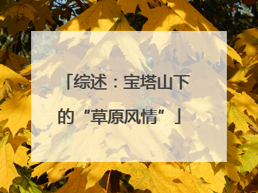 综述：宝塔山下的“草原风情”