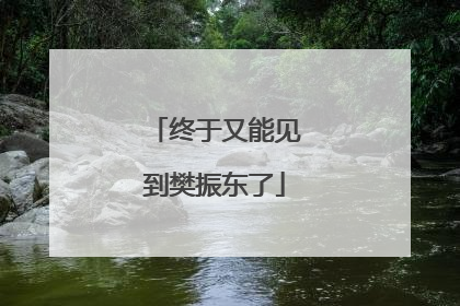 终于又能见到樊振东了