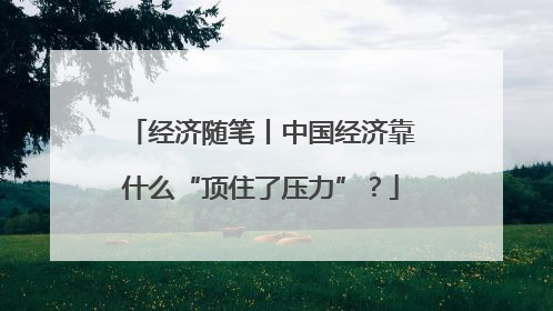 经济随笔丨中国经济靠什么“顶住了压力”？