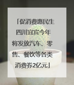 促消费惠民生 四川宜宾今年将发放汽车、零售、餐饮等各类消费券2亿元