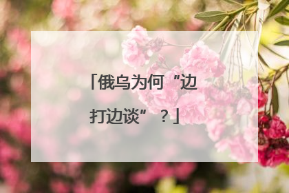 俄乌为何“边打边谈”？