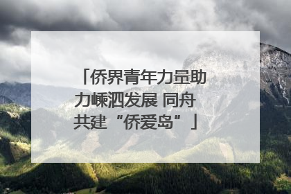 侨界青年力量助力嵊泗发展 同舟共建“侨爱岛”