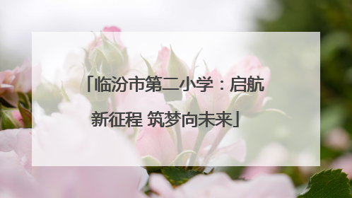 临汾市第二小学：启航新征程 筑梦向未来